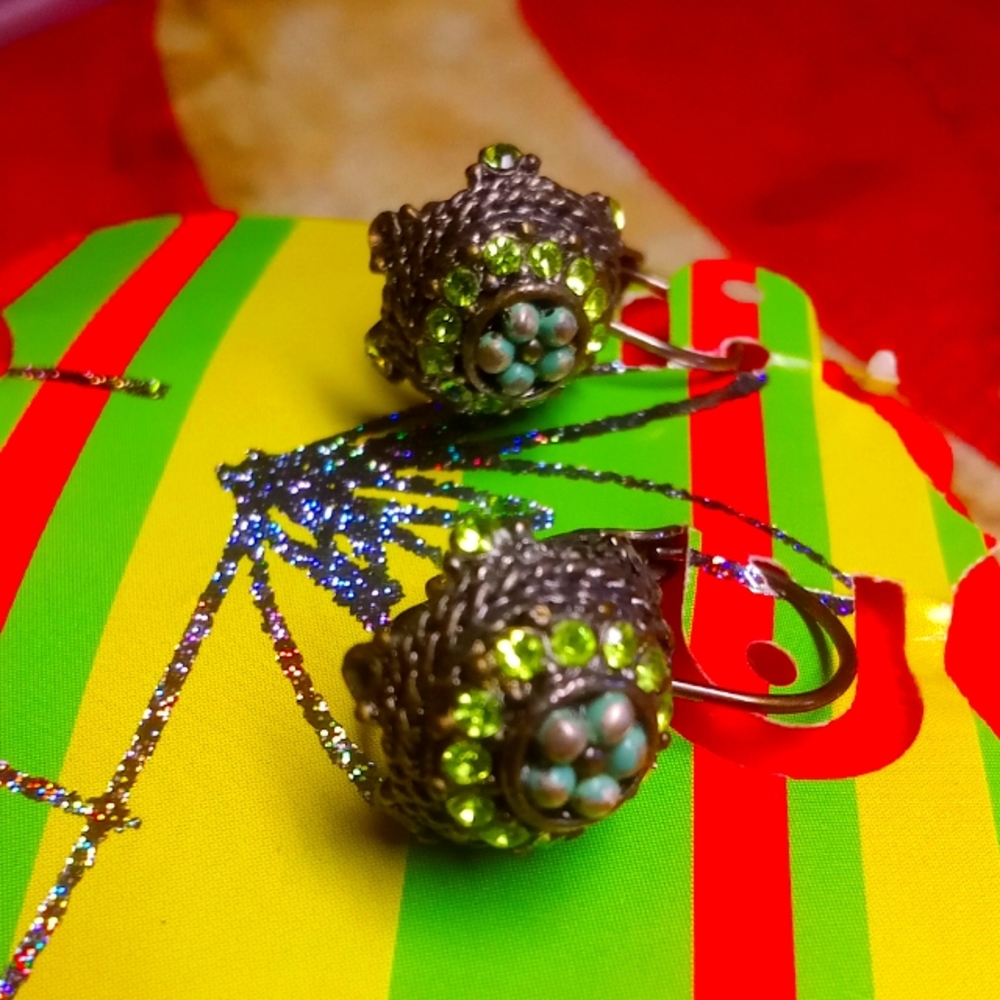Earrings